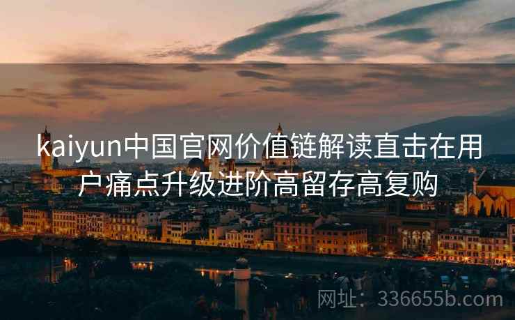 kaiyun中国官网价值链解读直击在用户痛点升级进阶高留存高复购