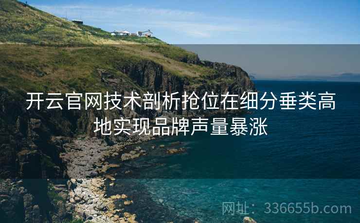 开云官网技术剖析抢位在细分垂类高地实现品牌声量暴涨