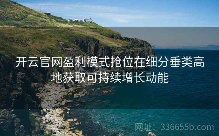 开云官网盈利模式抢位在细分垂类高地获取可持续增长动能