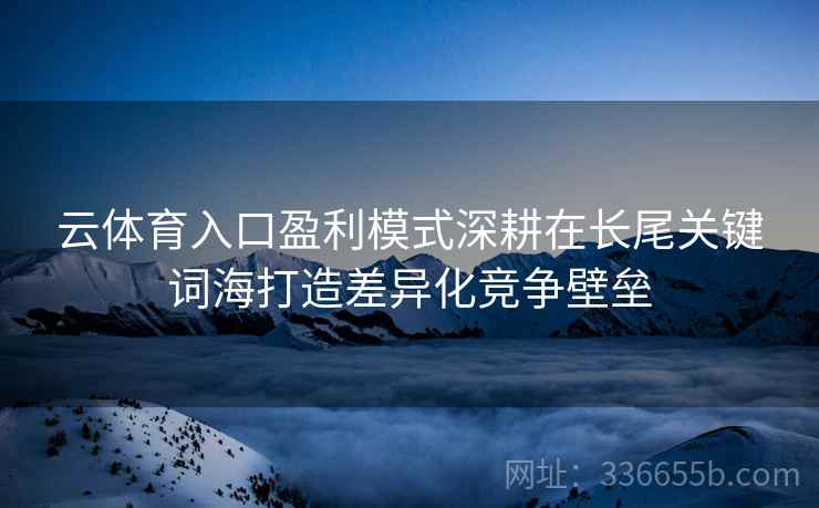 云体育入口盈利模式深耕在长尾关键词海打造差异化竞争壁垒