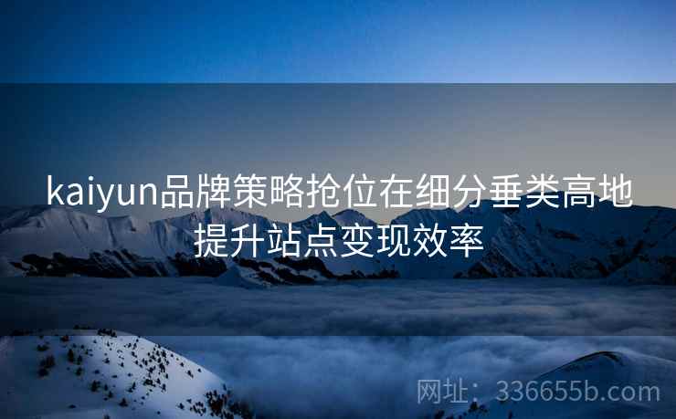 kaiyun品牌策略抢位在细分垂类高地提升站点变现效率